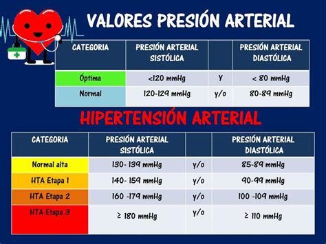 parametros de presion arterial - dibujo de carro